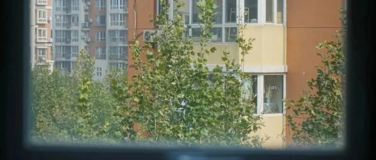 扫街周记|雾散去的时候