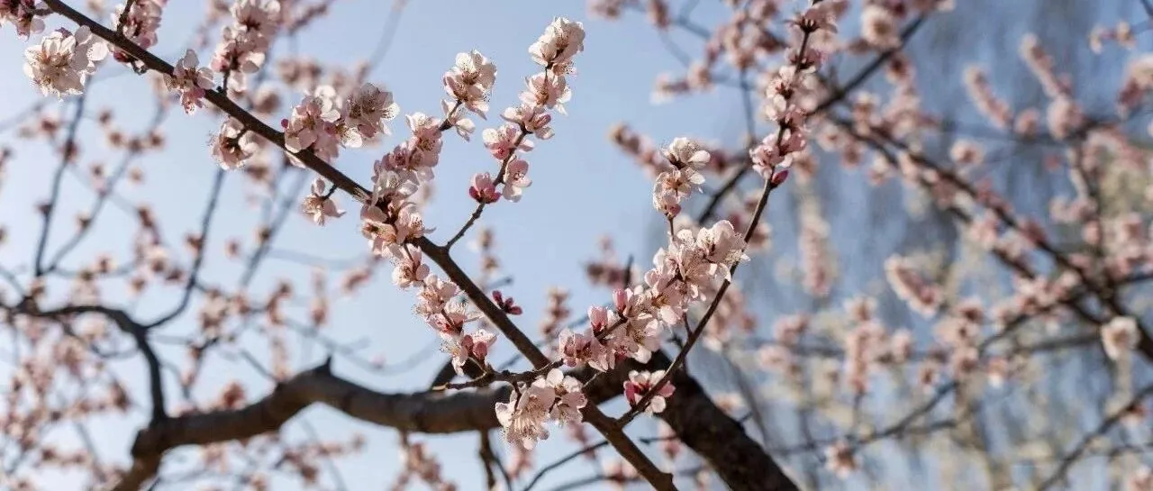 扫街周记|春暖花开